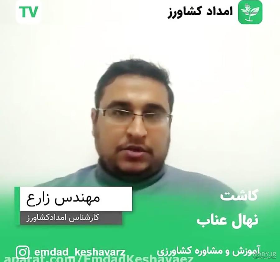 کاشت سویا