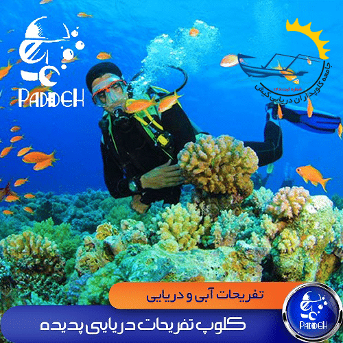 کافه یخی کیش - کیش تک - خرید و رزرو تفریحات کیش تا 50 درصد تخفیف