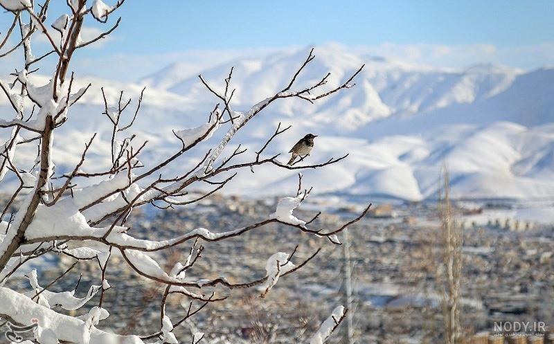 تصاویر: زمستان کردستان تصاویر: زمستان کردستان