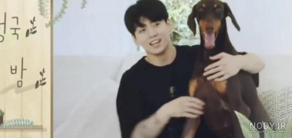 عکس از سگ های جونگ کوک🥺🐕 - تستچی عکس از سگ های جونگ کوک🥺🐕 - تستچی