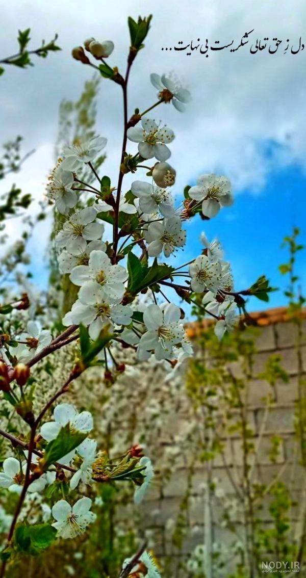 عکس بهشت برای پروفایل ، عکس بهشت واقعی خدا - تــــــــوپ تـــــــــاپ