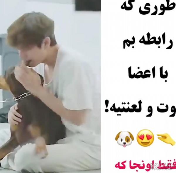 عکس سگ جونگ کوک بم عکس سگ جونگ کوک بم