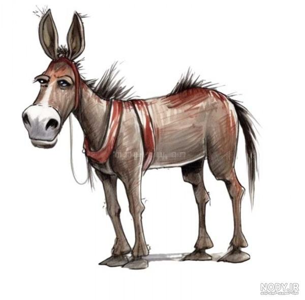 عکس شرک و خر شرک - عکس نودی عکس شرک و خر شرک - عکس نودی