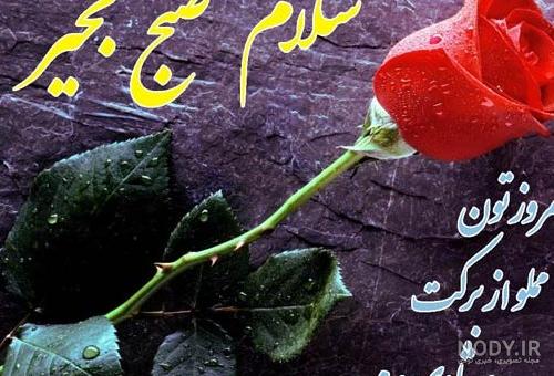 عکس صبح بخیر داداش گلم