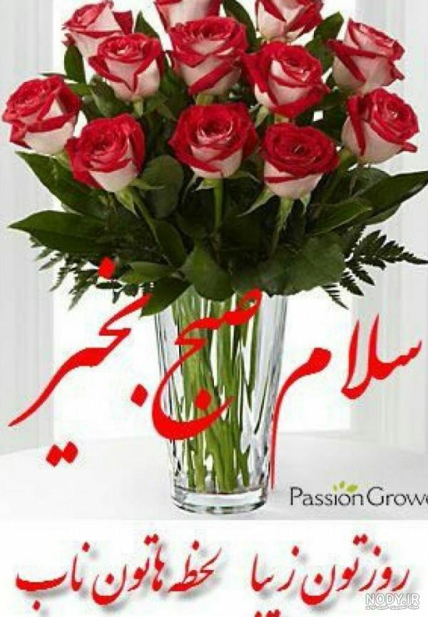 عکس صبح بخیر داداش گلم
