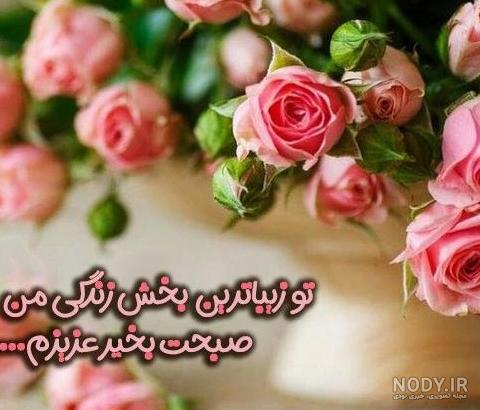 عکس صبح بخیر گلم