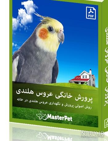 عکس عروس هلندی در سنین مختلف عکس عروس هلندی در سنین مختلف