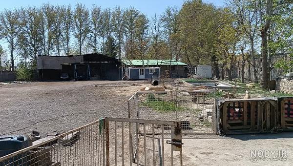 فروش فوری زمین 850 متری چهار دیواری ارزان در شهریار | املاک مال فروش فوری زمین 850 متری چهار دیواری ارزان در شهریار | املاک مال