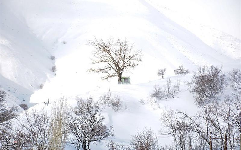 مشرق نیوز - عکس/ طبیعت زیبای زمستانی ارتفاعات کردستان مشرق نیوز - عکس/ طبیعت زیبای زمستانی ارتفاعات کردستان