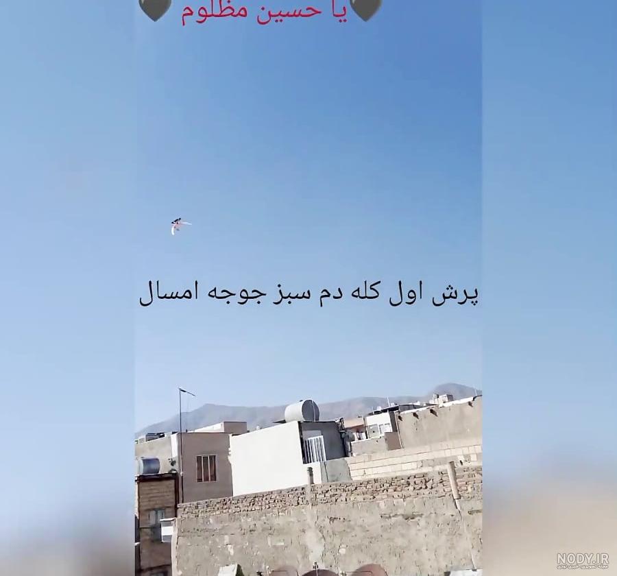 آموزش درست کردن قفس برای جوجه ،،، کپ