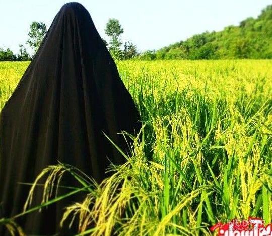عکس دختر چادری از پشت سر در طبیعت
