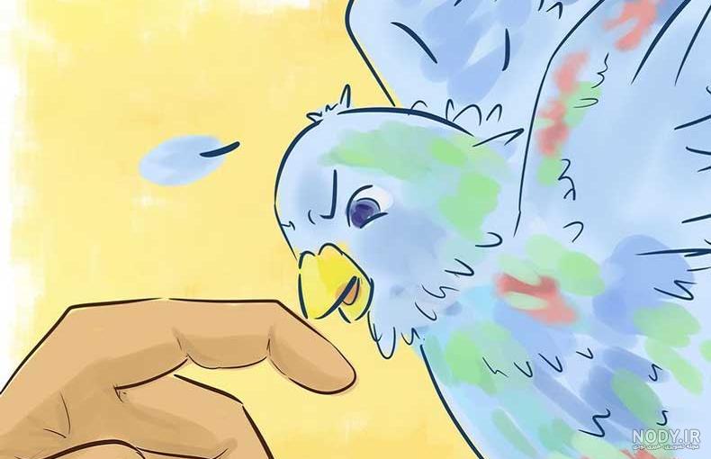 عکس مرغ عشق مریض - عکس نودی