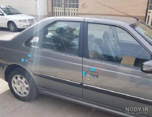 عکس رنگ دلفینی