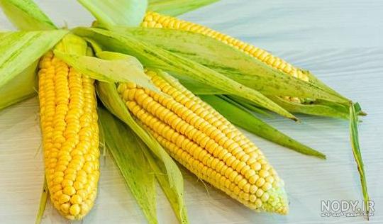 عکس کودکان عقب مانده ذهنی ۱۴۰۰ - عکس نودی
