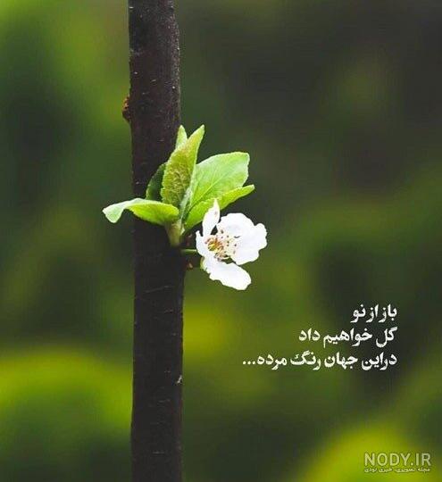 متن انگیزشی عربی با جملات انگیزه دهنده عربی ترجمه شده به فارسی
