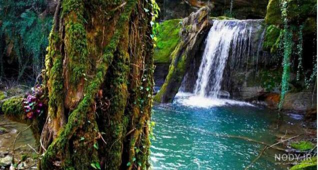 آشنایی با بهشت گمشده+عکس