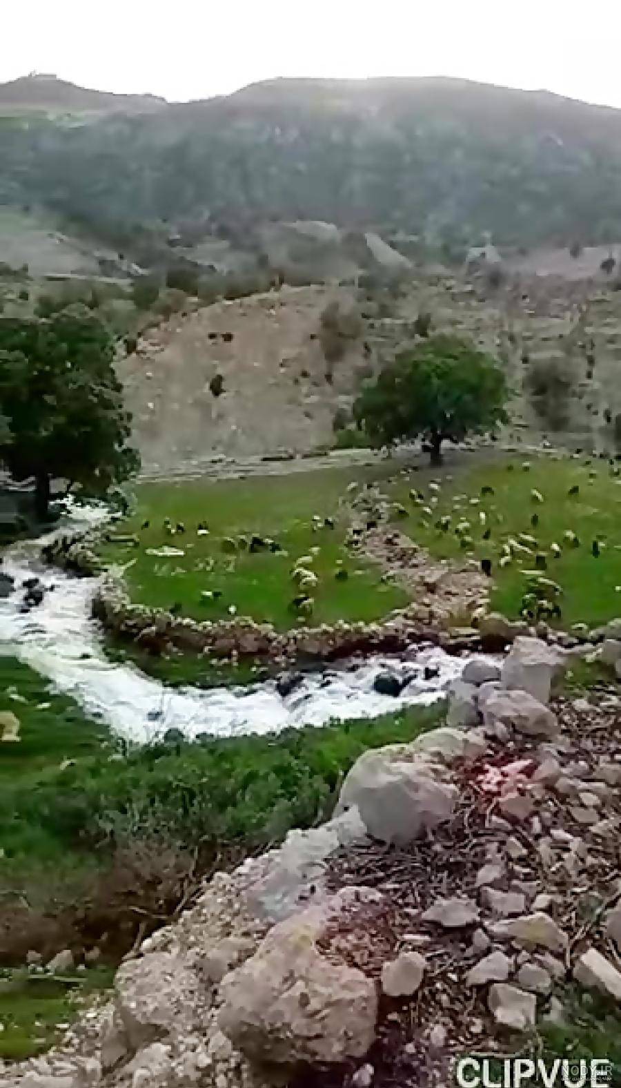 آشنایی با بهشت گمشده+عکس