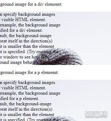 آموزش گذاشتن بک گراند (Background) در html با css - پرس نت