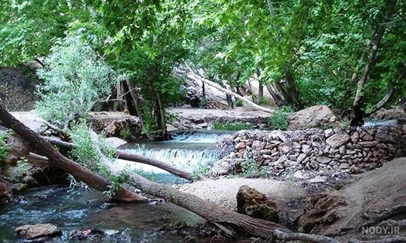 سفر به بهشت گمشده
