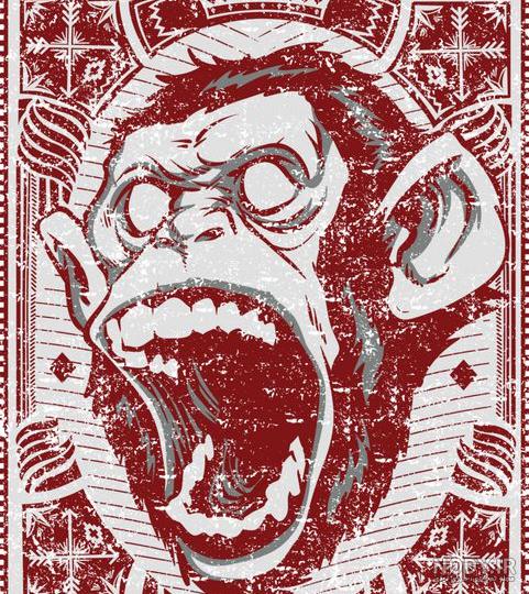 عکس میمون🐒دانلود 16 عکس میمون با کیفیت بالا عکس میمون🐒دانلود 16 عکس میمون با کیفیت بالا