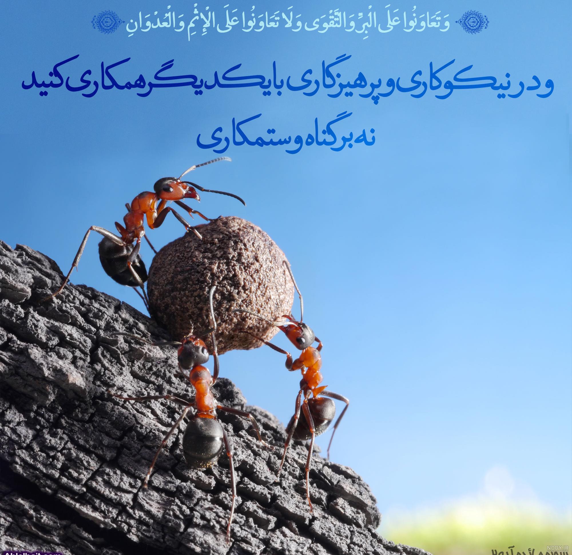 عکس نوشته: فرصت ها مثل ابر می گذرند - موسسه تحقیقات و نشر معارف ... عکس نوشته: فرصت ها مثل ابر می گذرند - موسسه تحقیقات و نشر معارف ...