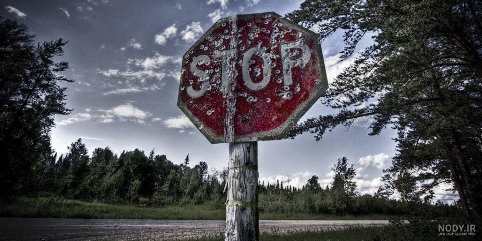 عکس پس زمینه دریاچه و جنگل با کیفیت بالا و رایگان | طبیعت | فایل آوران