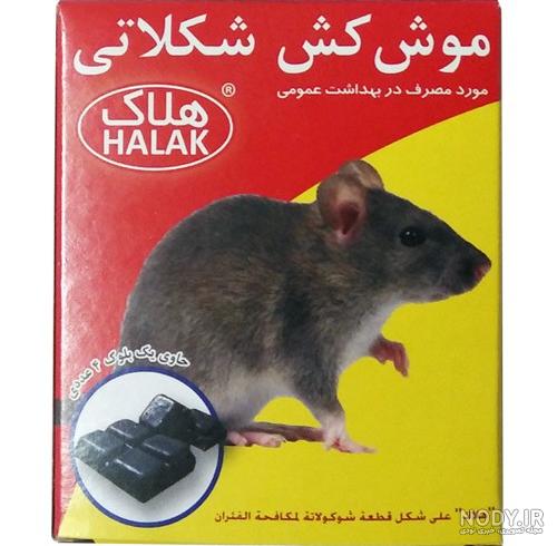 آموزش تصویری نقاشی موش به کودکان به همراه رنگ آمیزی | وولک