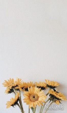 عکس جدول خالی برای نوشتن متن