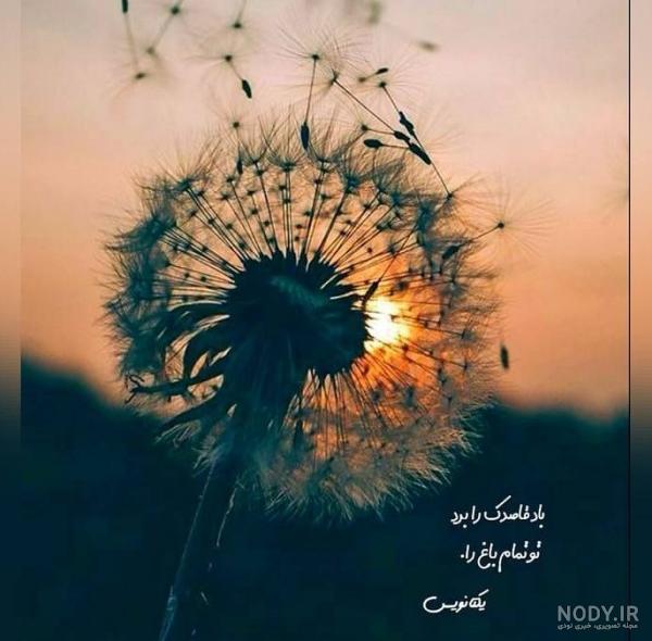مجموعه عکس از حرم امام رضا علیه السلام (جدید)
