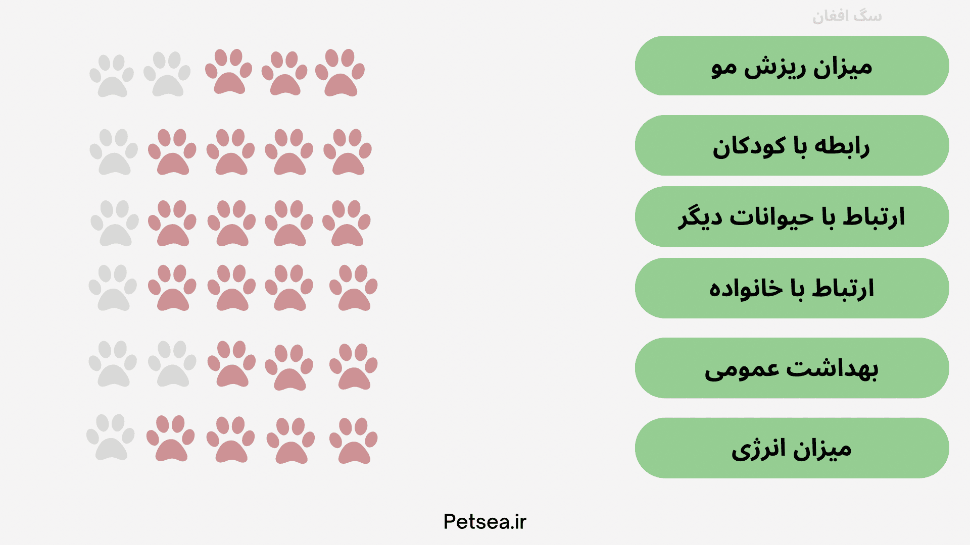 بایگانی‌های عکس سگهای جنگی افغان - کامل (مولیزی)