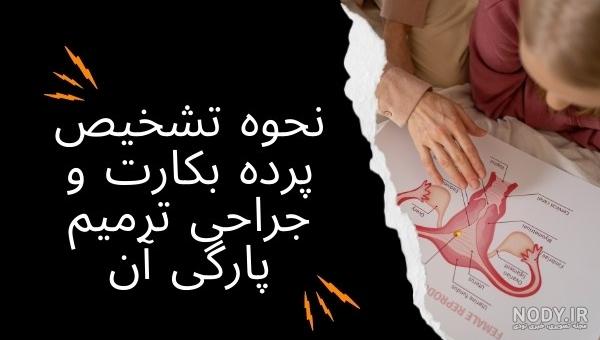 تاثیر پوزیشن و تعداد دفعات نزدیکی برای بارداری | یک زن