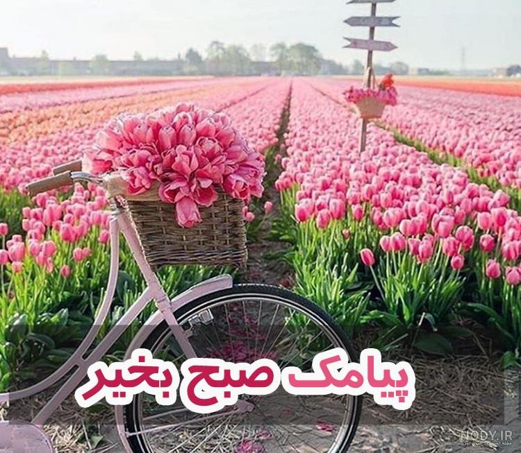 سلام صبح سه شنبه تون بخیر + پیامک صبح بخیر سه شنبه سلام صبح سه شنبه تون بخیر + پیامک صبح بخیر سه شنبه