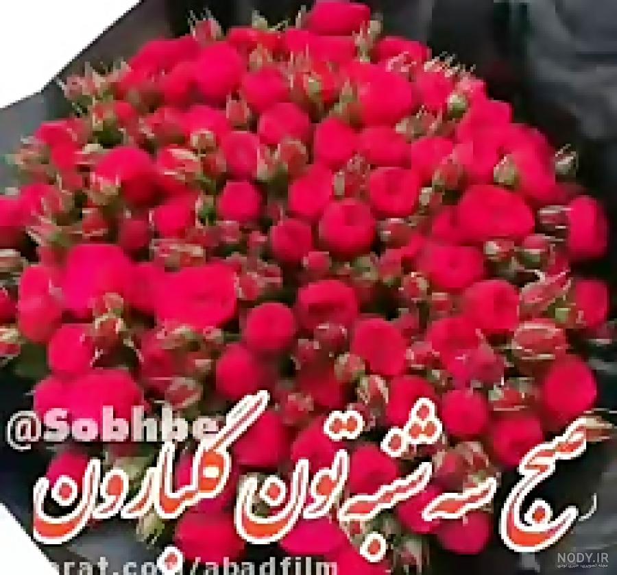 عکس سلام صبح بخیر سه شنبه عکس سلام صبح بخیر سه شنبه