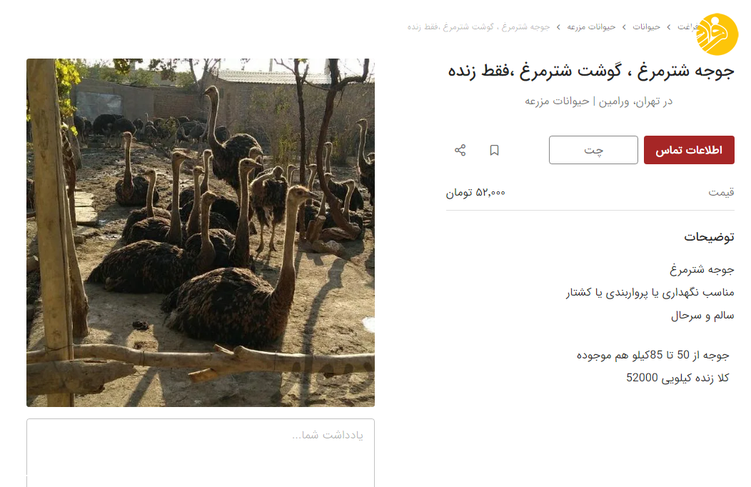 عکس شتر مرغ در حال دویدن - عکس نودی