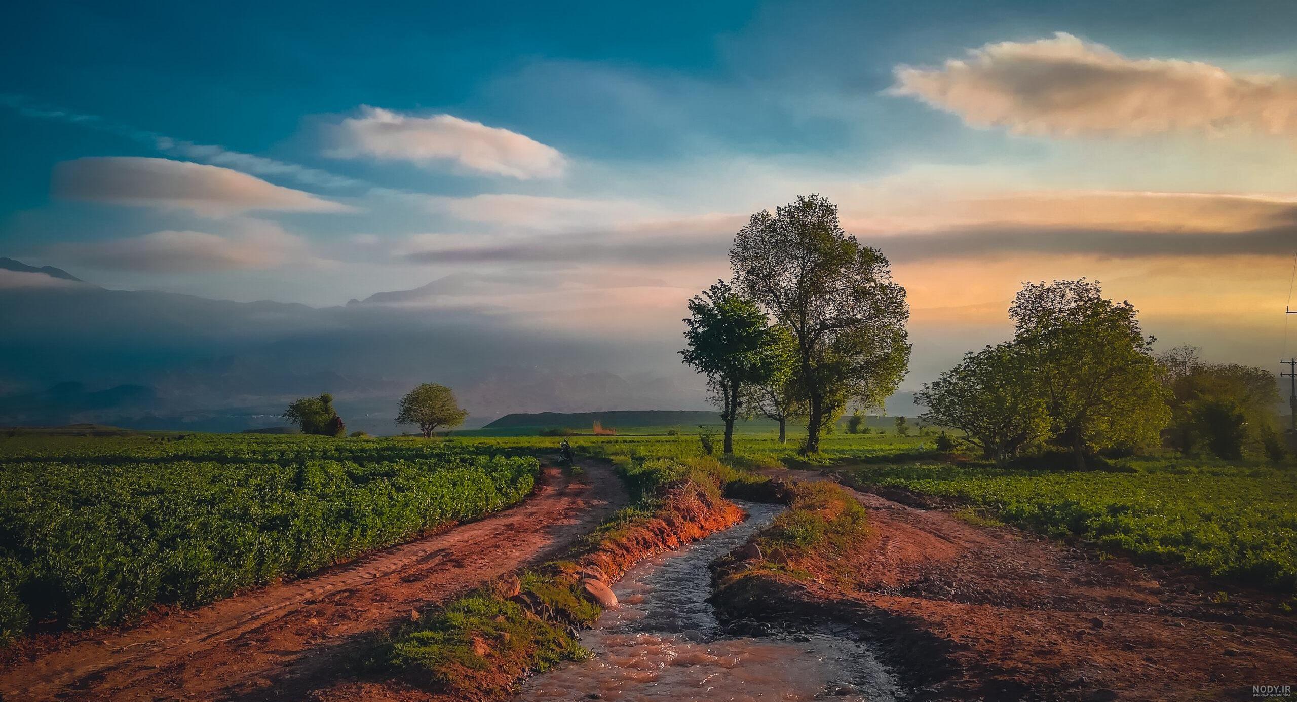 عکس غمگین قبرستان ❤️ [ بهترین تصاویر ]
