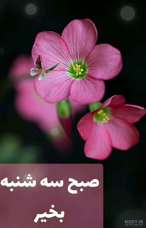 عکس نوشته روز شنبه + جملات صبح بخیر اول هفته و متن های طنز شروع ... عکس نوشته روز شنبه + جملات صبح بخیر اول هفته و متن های طنز شروع ...