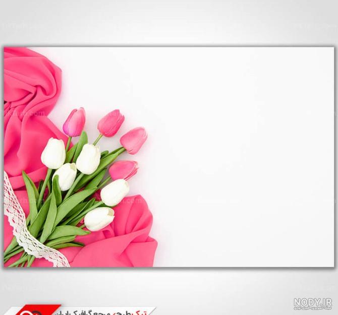 عکس گل لاله و پرچم ایران - عکس نودی