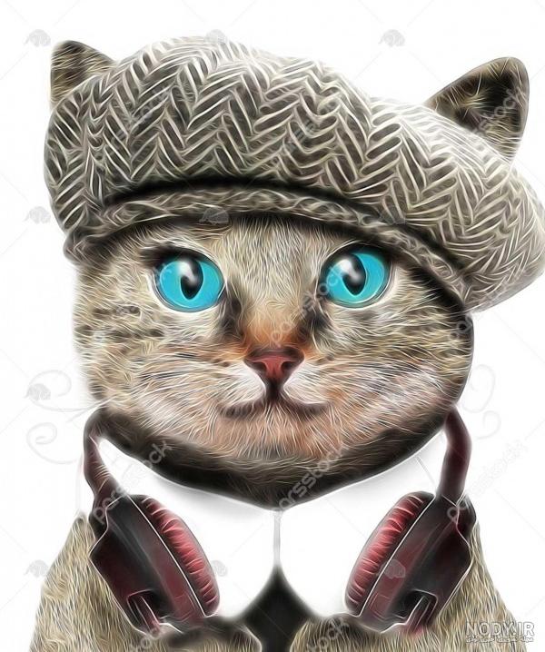 عکس خفن عکس خنده دار حیوانات گربه