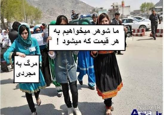 عکس خنده دار گربه و سگ