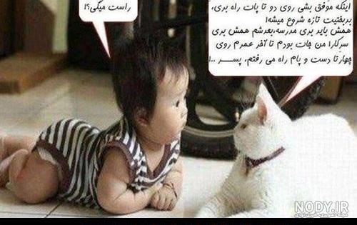 عکس خنده دار گربه و سگ