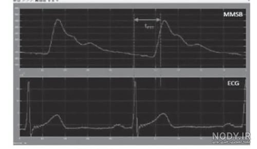 دانشنامه جامع عکاسی و تصویربرداری پزشکی دانشنامه جامع عکاسی و تصویربرداری پزشکی