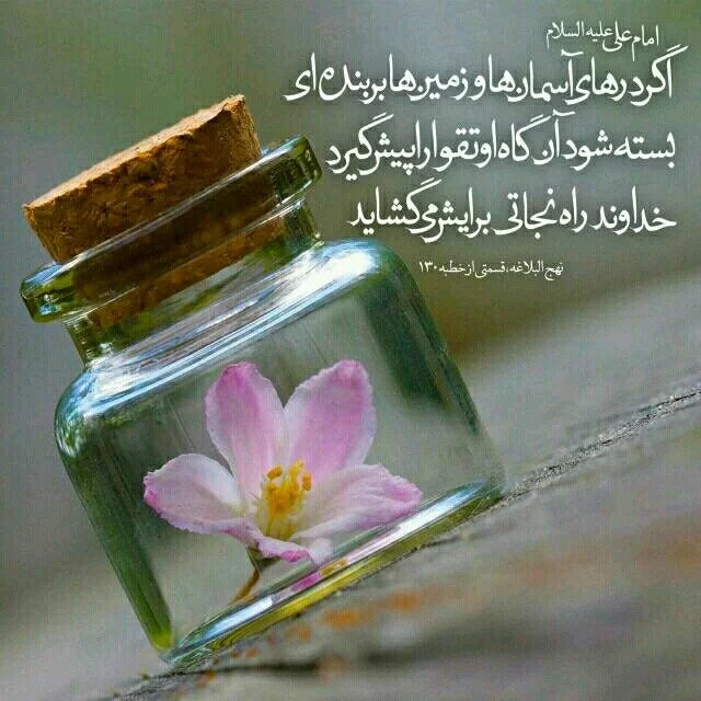 دانلود عکس نوشته برای پروفایل تلگرام - کامل (مولیزی)