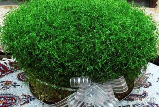 طرز تهیه سبزه عدس