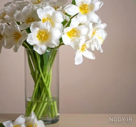 عکس دسته گل نرگس | تصاویر زیبا گل نرگس مناسب برای پروفایل