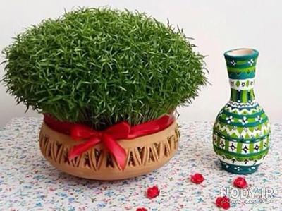 عکس سبزه عید با عدس