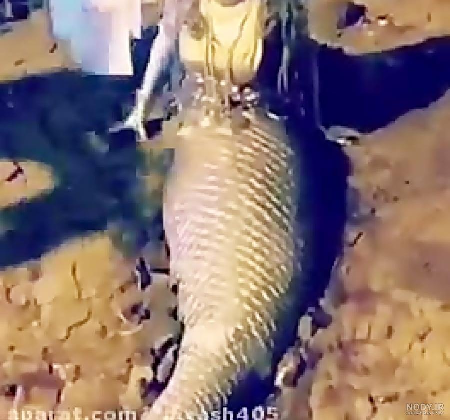 عکس لباس پری دریایی بچه گانه