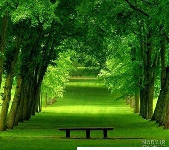 عکس پروفایل طبیعت برای واتساپ