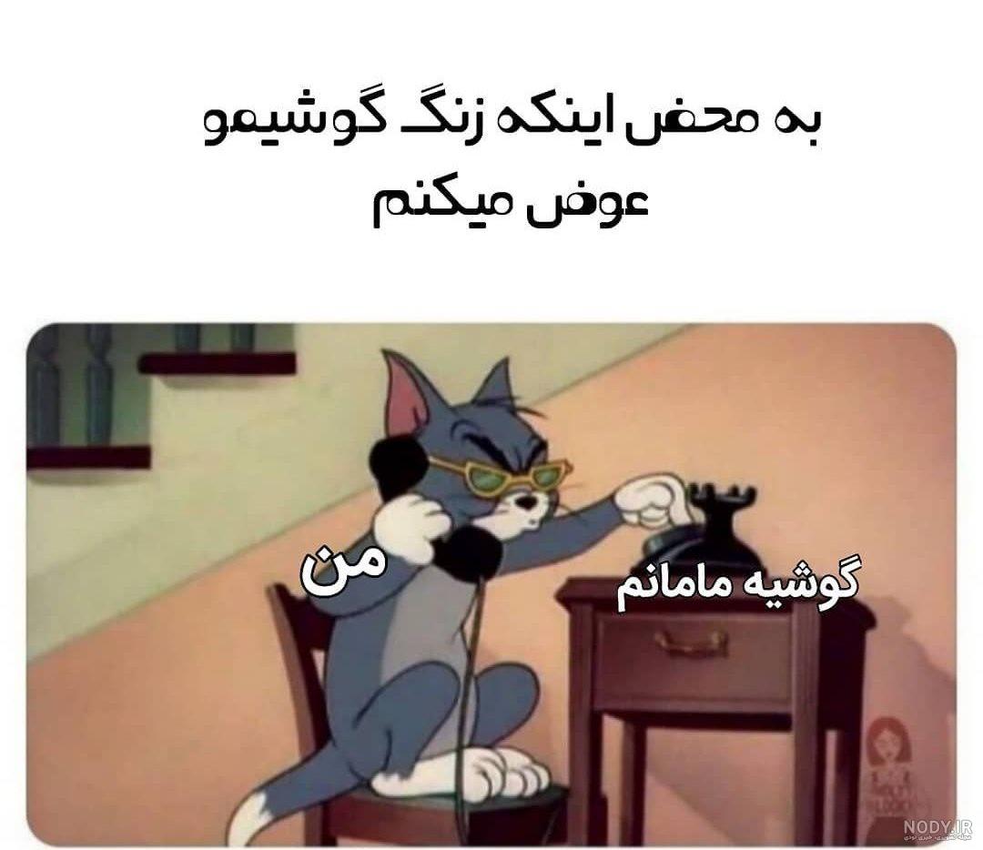 عکس گربه خنده دار برای استیکر - عکس نودی