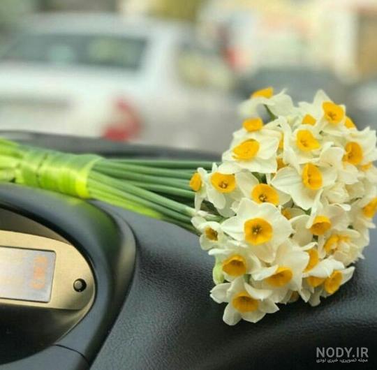 عکس گل نرگس برای پروفایل 2023 | عکس گل مریم | عکس گل برای پروفایل ...