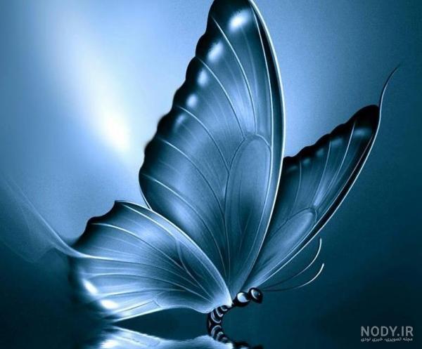 عکس گل پروانه ای عکس گل پروانه ای